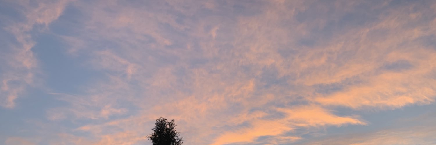robowenmac's profile banner image