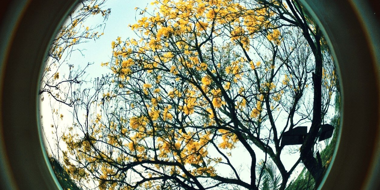 jacaritoespm's profile banner image
