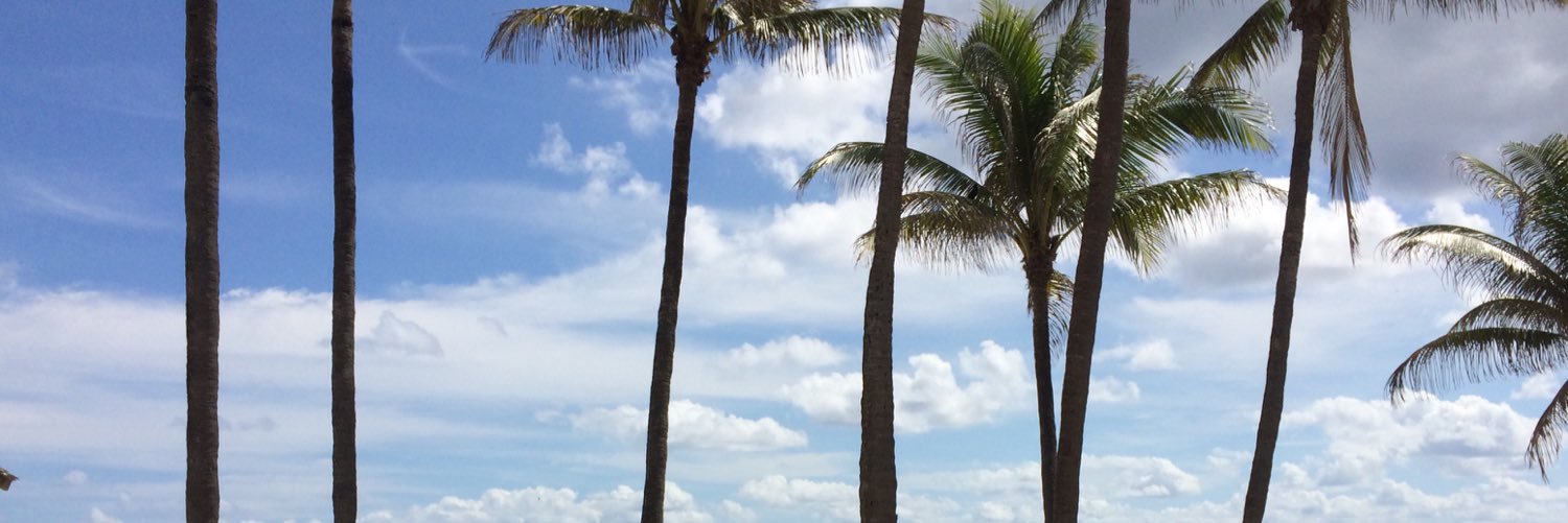 ErixSoleil's profile banner image