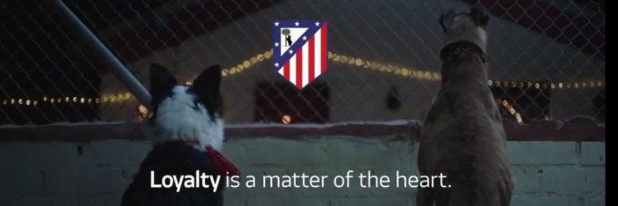 Szymon Malordy 🧉 banner