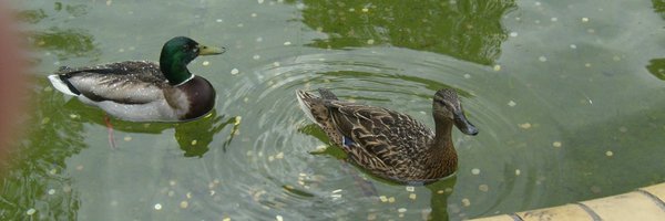 ZuzanaS12 Profile Banner