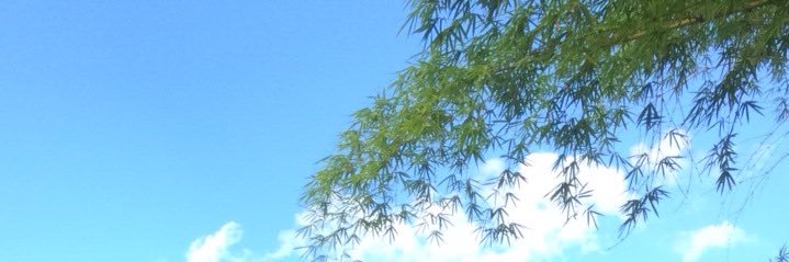 Rafael Melo banner