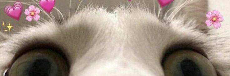 95 banner