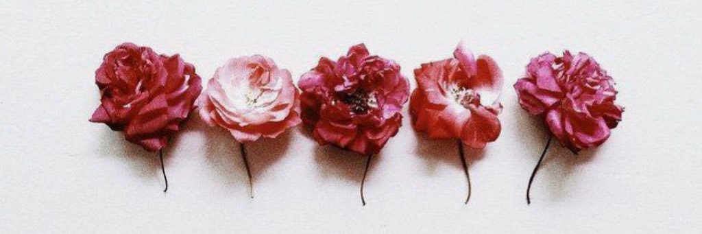marissaaahelms's profile banner image