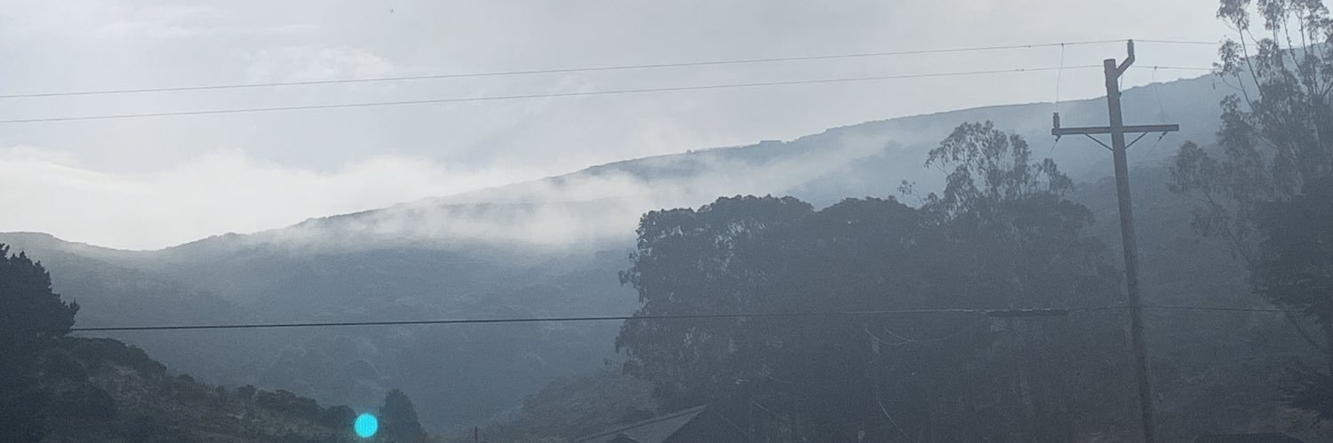 Courtney Shearer banner