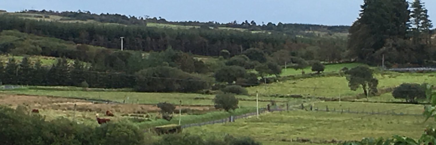 @writerchick.bsky.social 🌻🇺🇦 🪷 banner