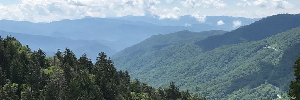 LMBteacher1's profile banner image