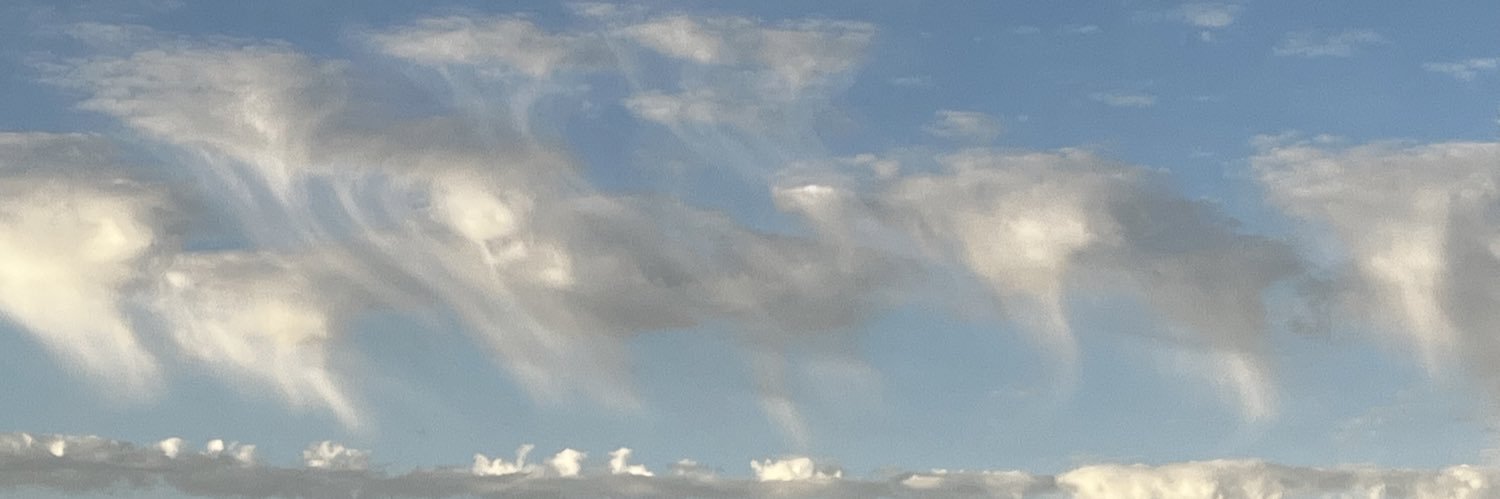 alexmerg's profile banner image