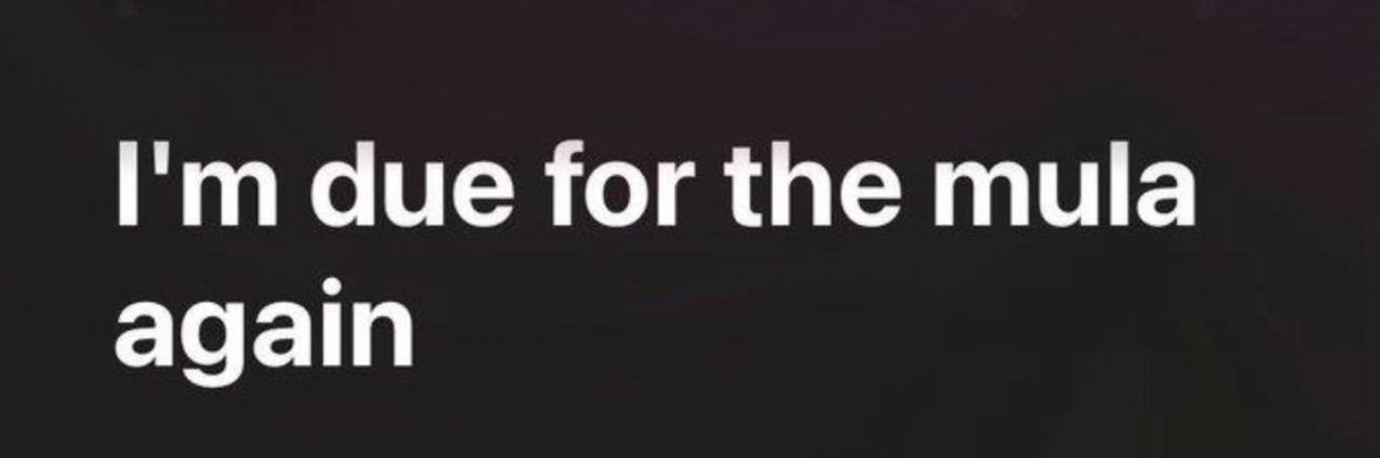 SammyDinho 🧊🏴󠁧󠁢󠁥󠁮󠁧󠁿 banner