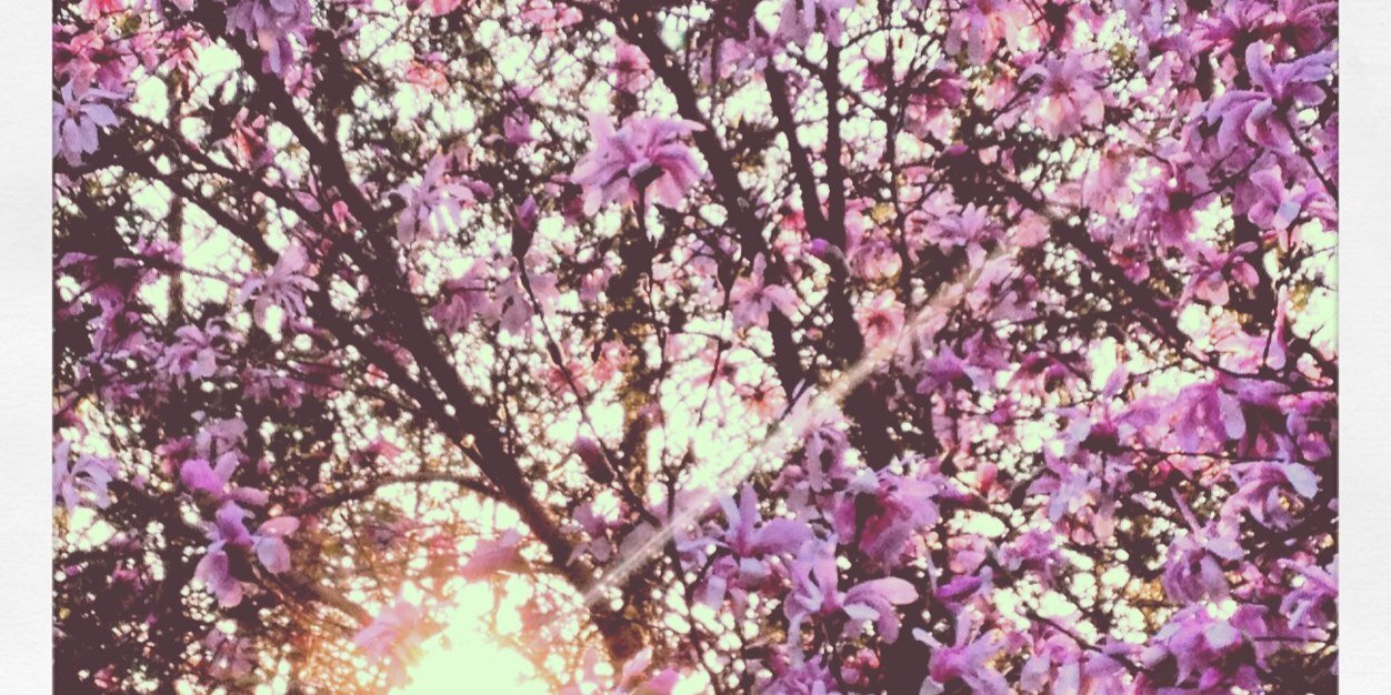 AshleyJaffray's profile banner image