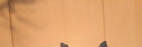 mueanklai's profile banner image