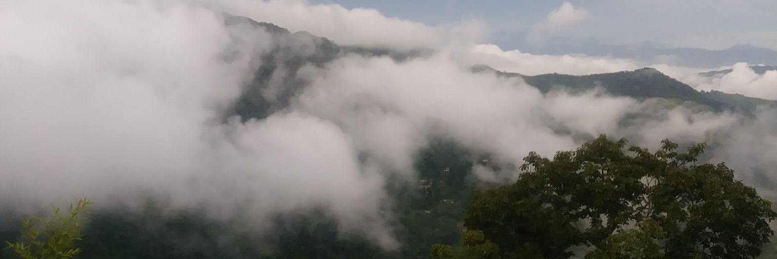 ABP0299's profile banner image