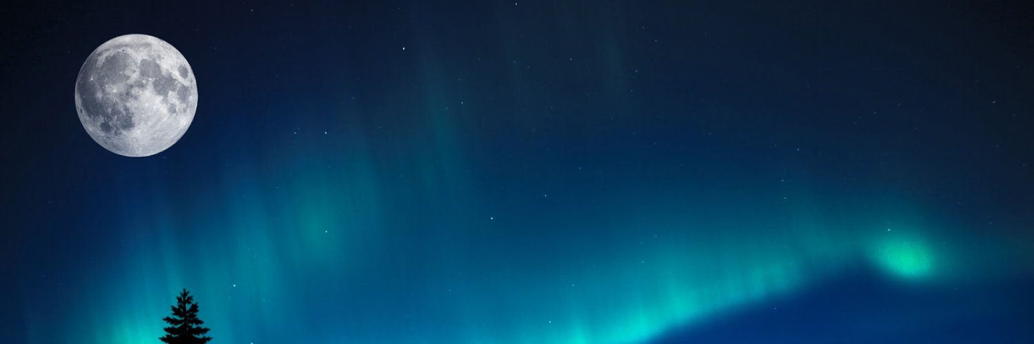 Zarrgx's profile banner image