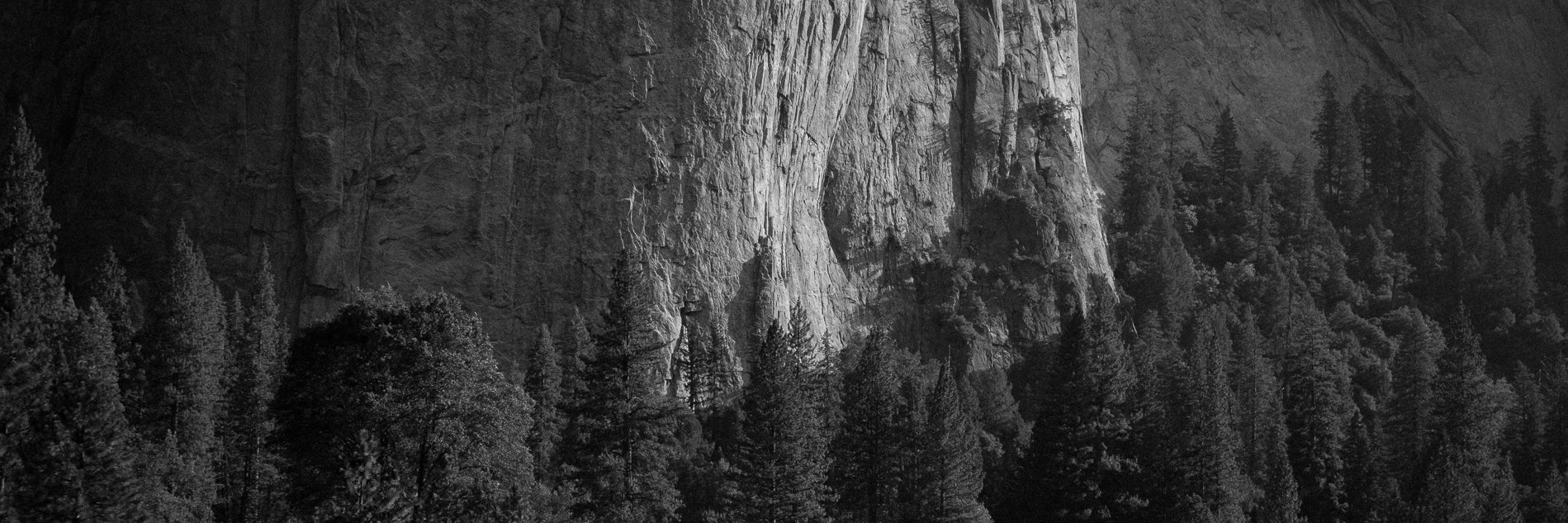 johnrcampo's profile banner image