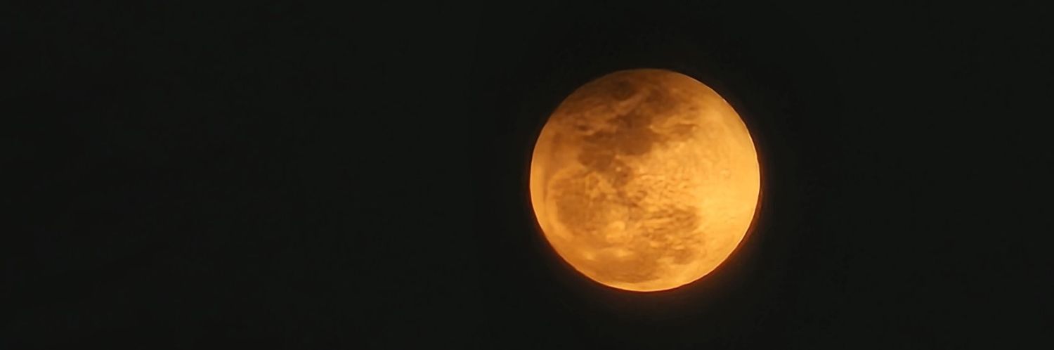wllbright's profile banner image