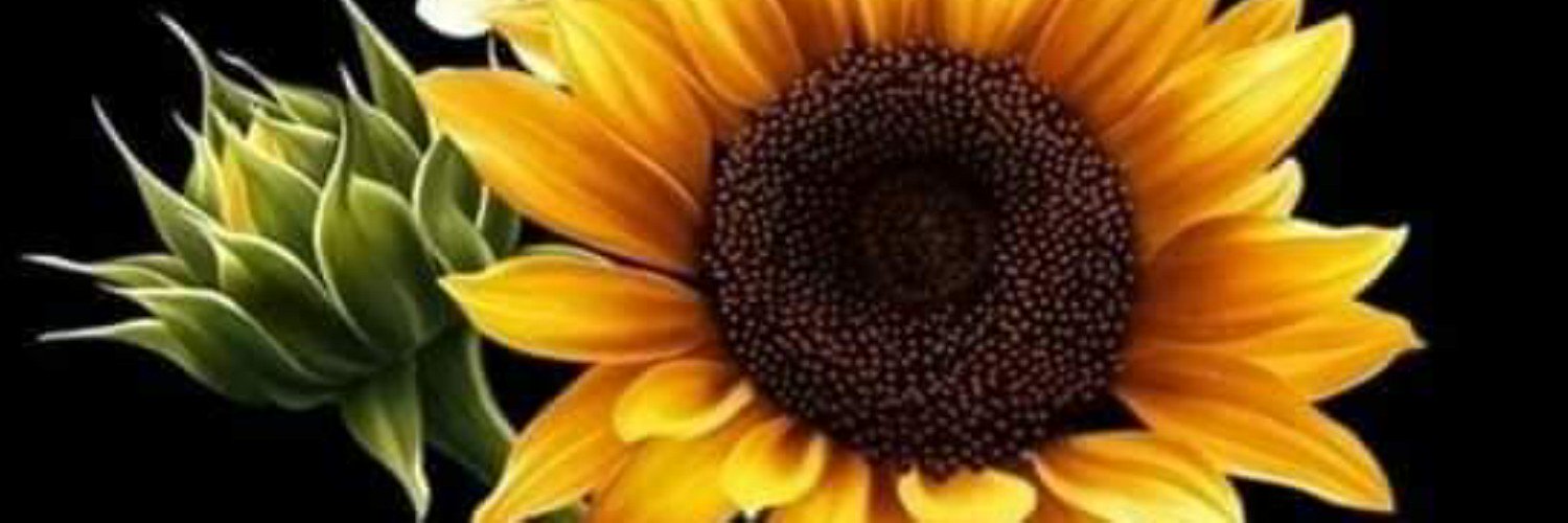 DaysiRoa's profile banner image