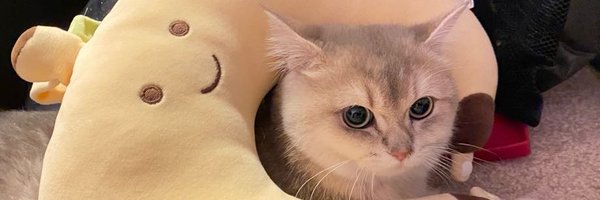 LiHongkang_jntm Profile Banner