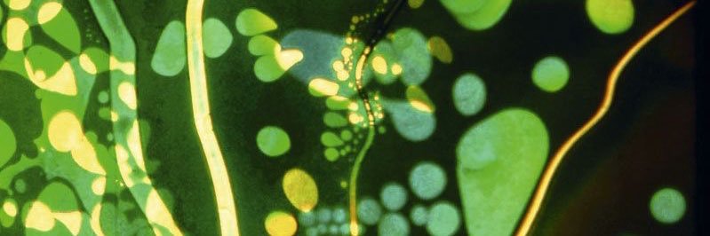 ⋆.˚☀︎༄ banner