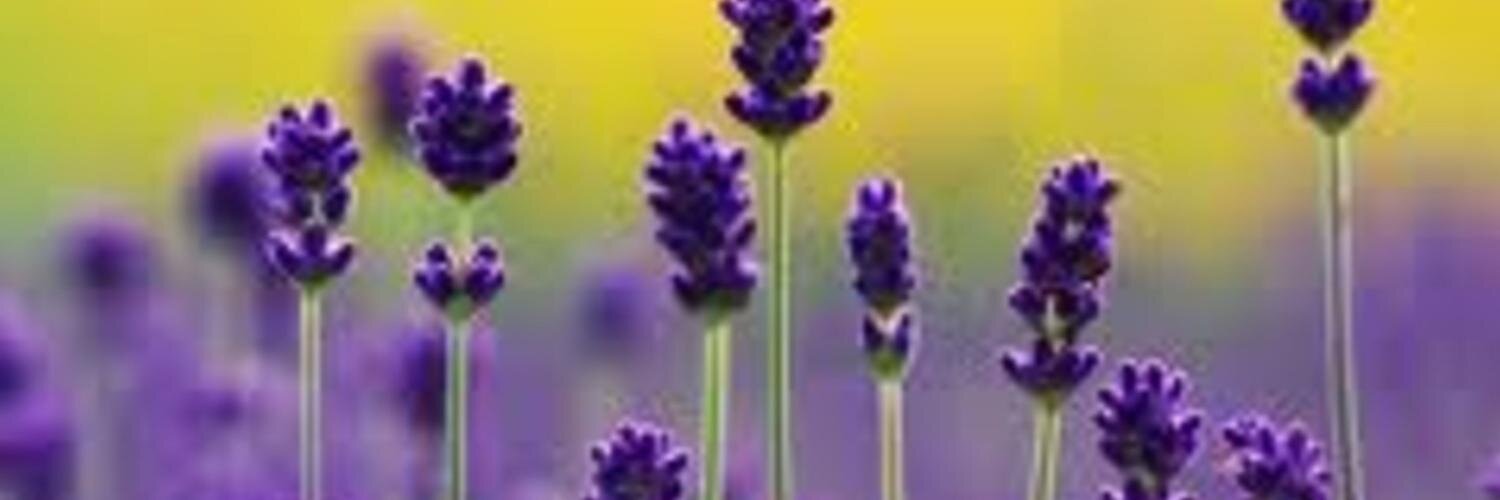 ROSSY0101's profile banner image