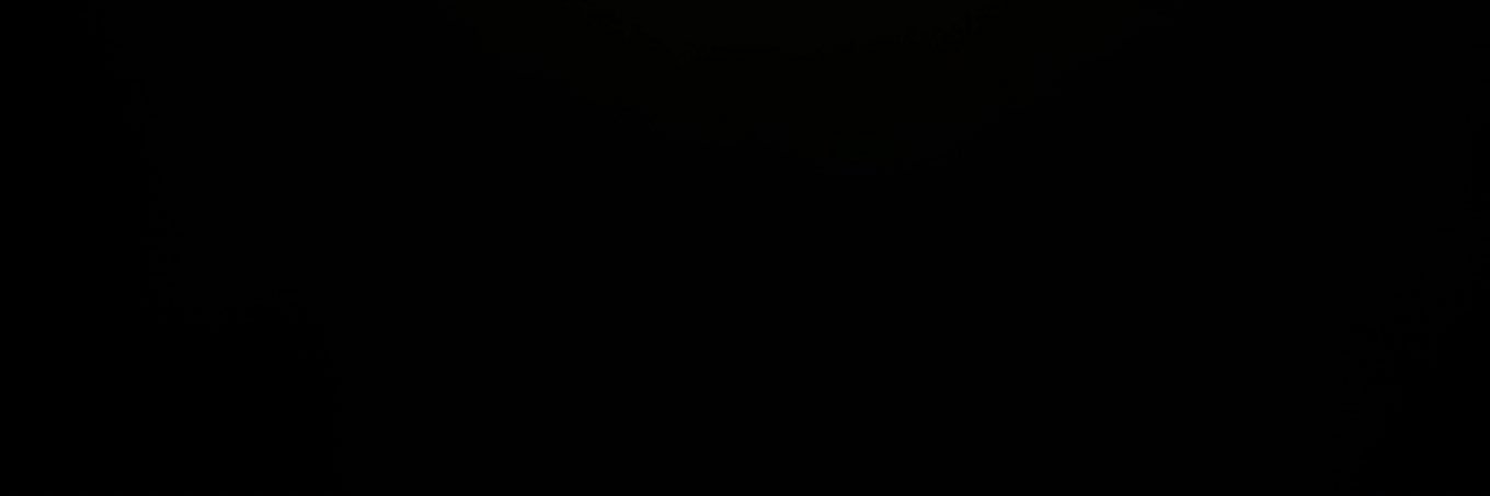 xvizz banner