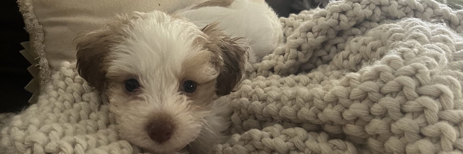 Jonathan Cubbison banner