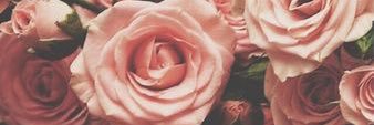 savannnahhill's profile banner image