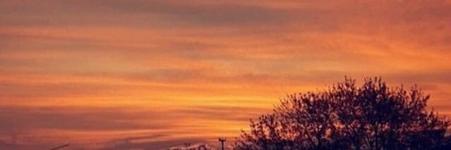 rominaluna15's profile banner image