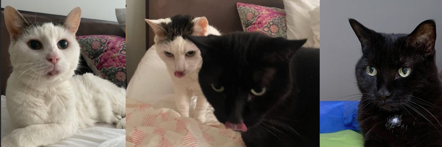 Sarah Gray: I stand with Palestine banner