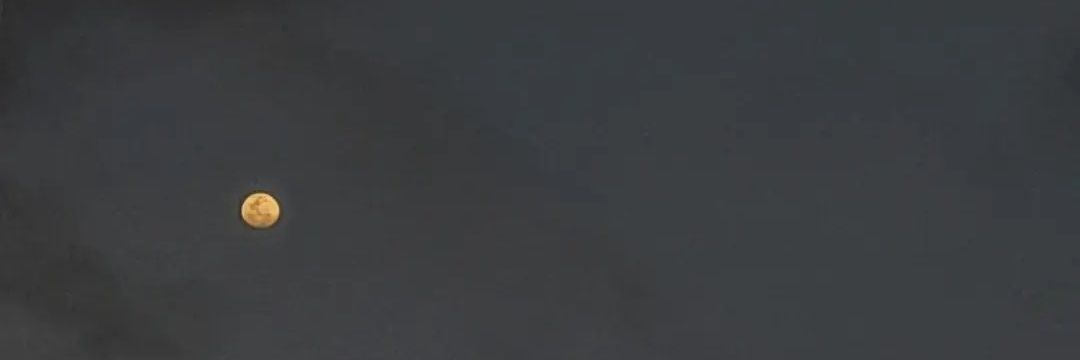 Paula Buitrago banner