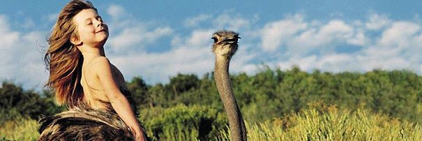 belendanza's profile banner image