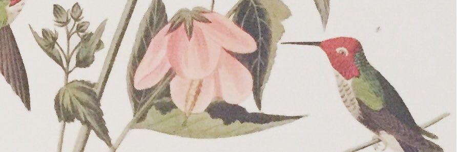 angela barnes banner