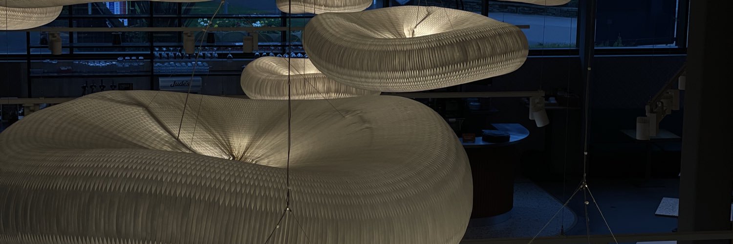 Princess Diana 🦋 banner