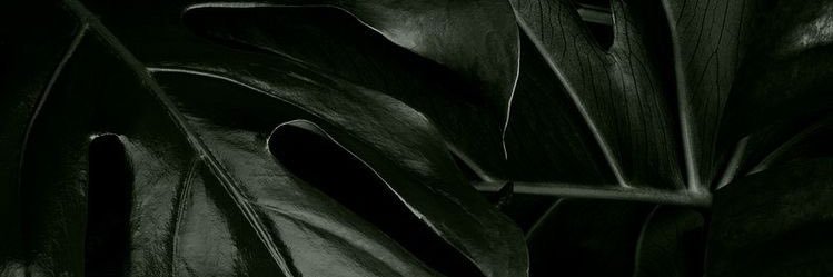 MissMyaa's profile banner image