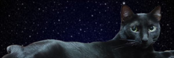 Geovohm Profile Banner
