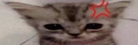 tia liked csm232 banner