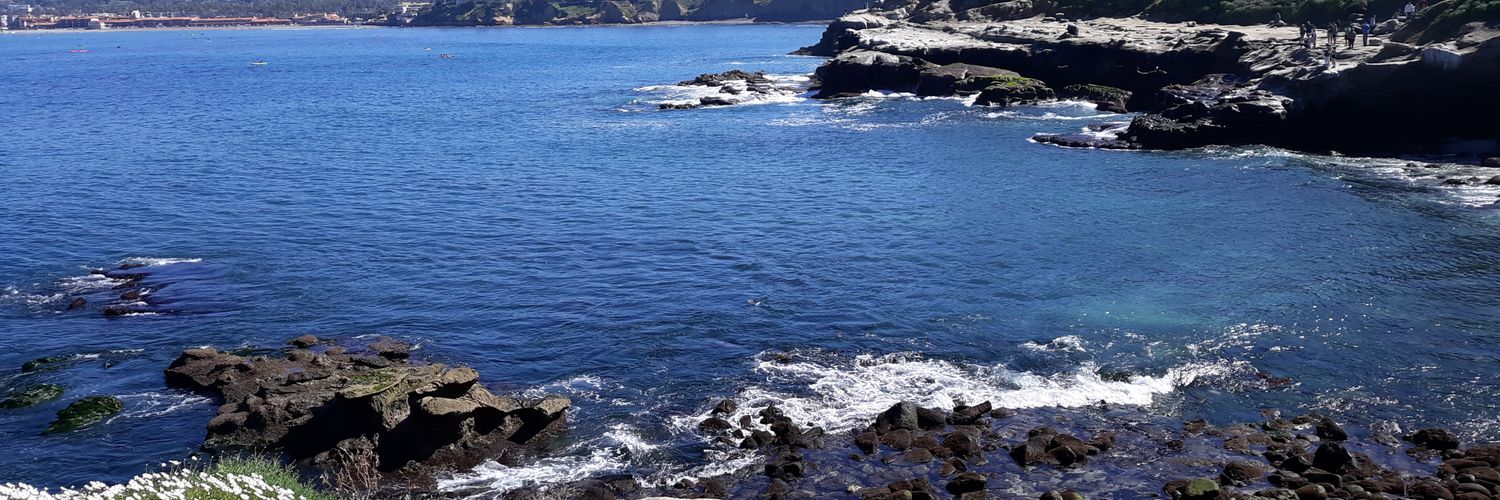 Ryan Cunningham banner