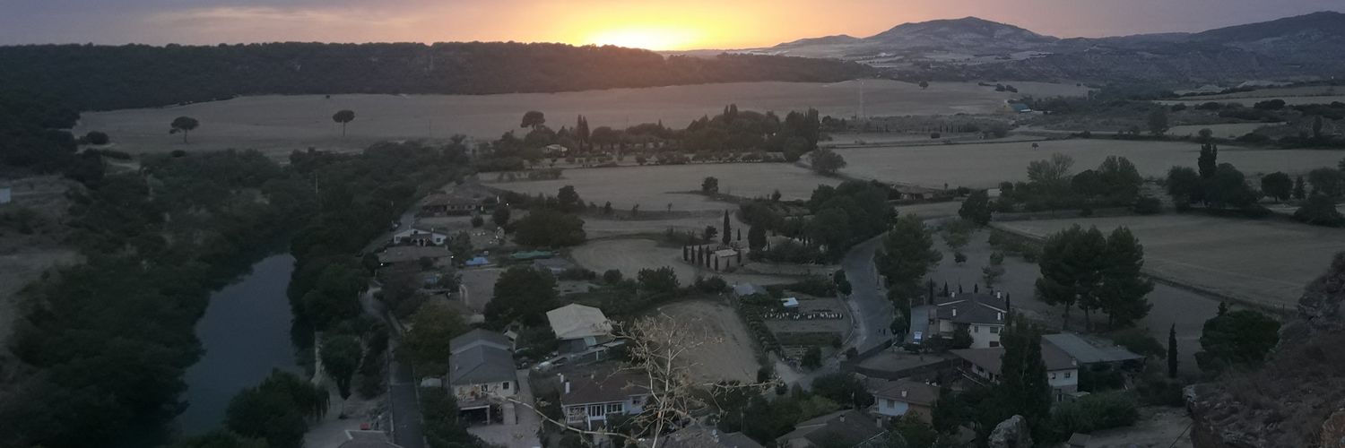 Daniel Flores banner