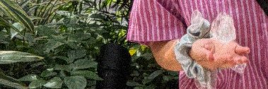treestarsky's profile banner image