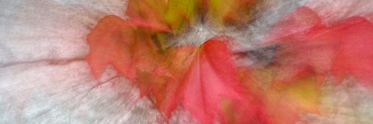 lindamrafferty's profile banner image