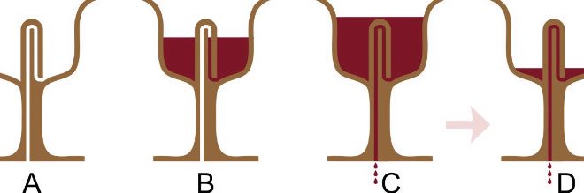 David Robjant banner