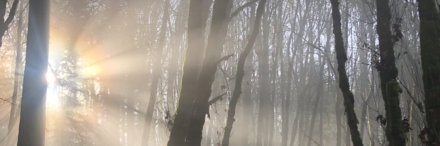 ghostfacemiller.eth banner