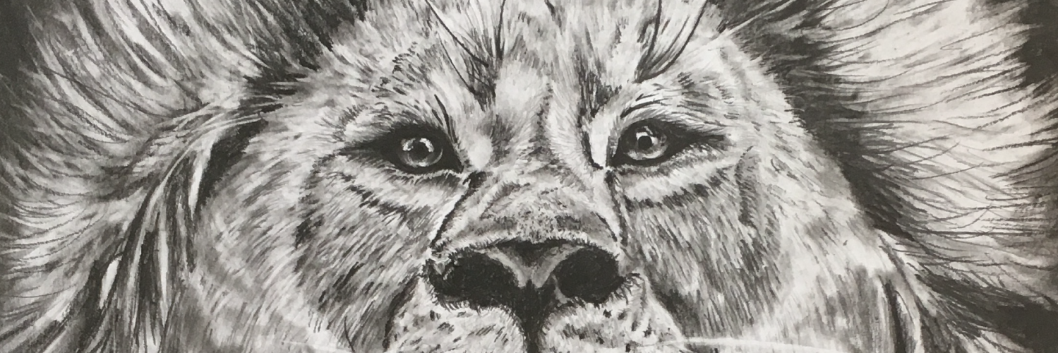 timsartdiary's profile banner image