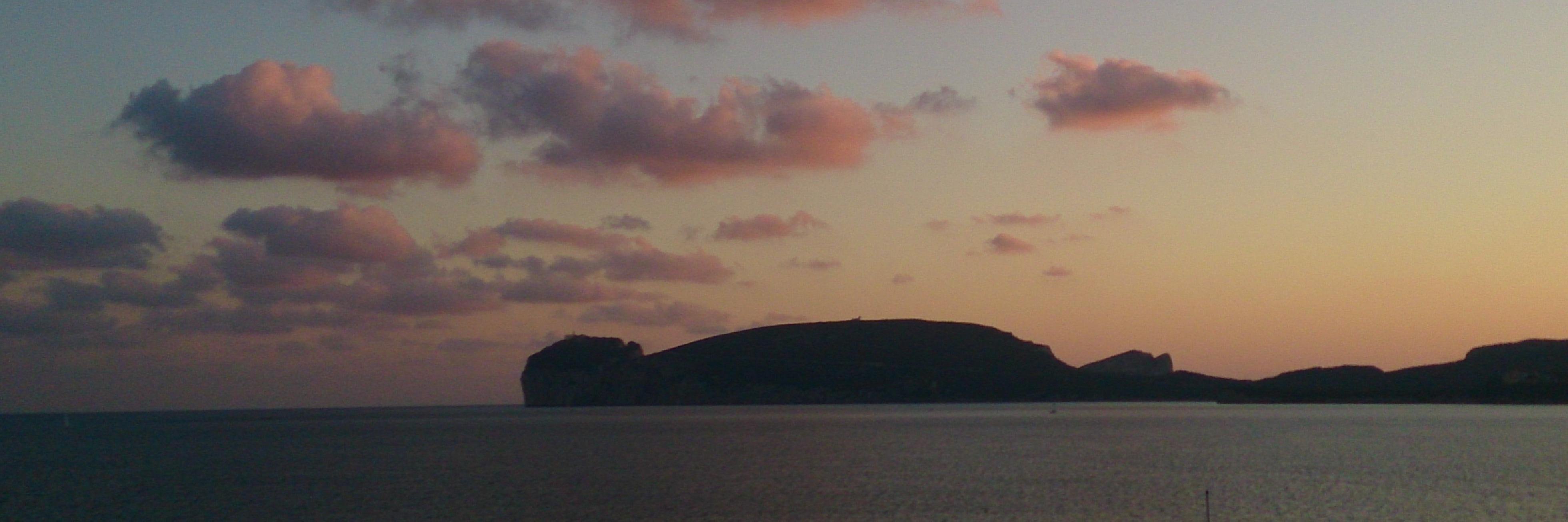 StefaniaM. Ciminelli banner