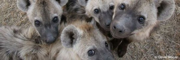 backbbingss Profile Banner