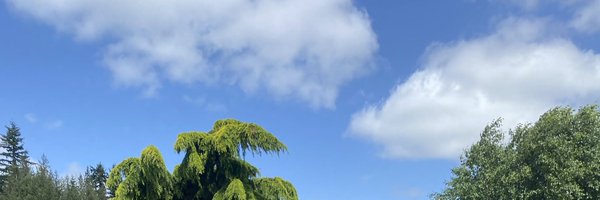 andrewbig42 Profile Banner