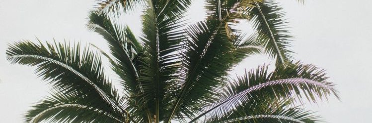 kahneemiaa's profile banner image