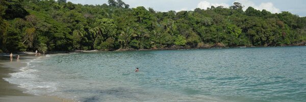 eribears Profile Banner