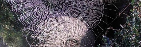 volemorgue Profile Banner