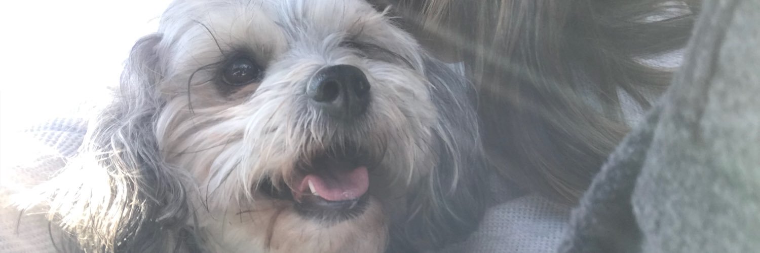 mLeticia97's profile banner image