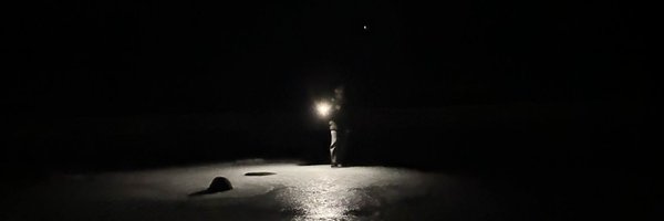 Odle0dle Profile Banner